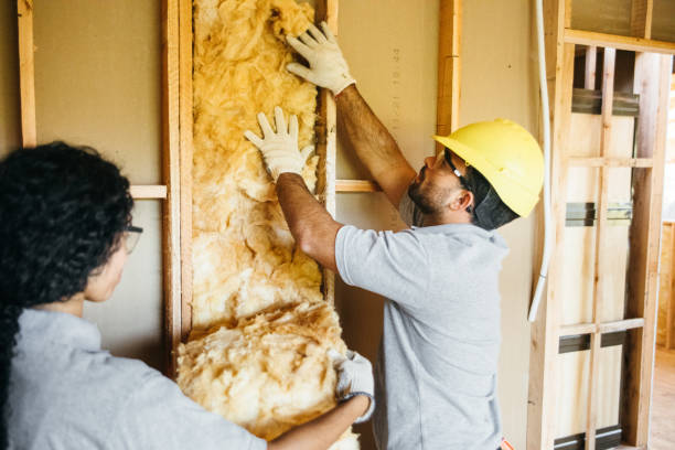 Best Insulation Repair Services  in Mayflower Village, CA