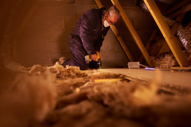 Best Blown-in Insulation  in Mayflower Village, CA