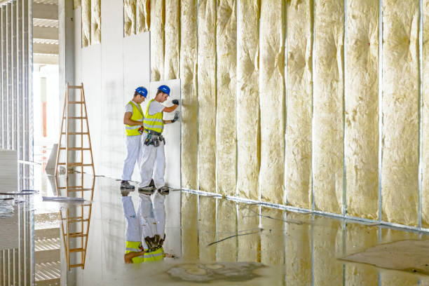 Best Soundproof Insulation Installation  in Mayflower Village, CA